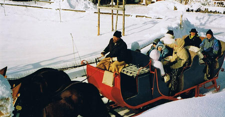 Bild gro&szlig;er Pferdeschlitten